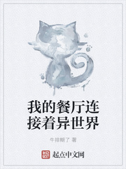 娶个npc夫人