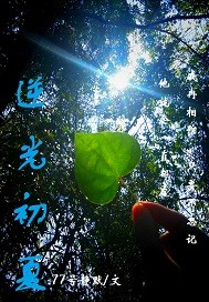 萌战无双